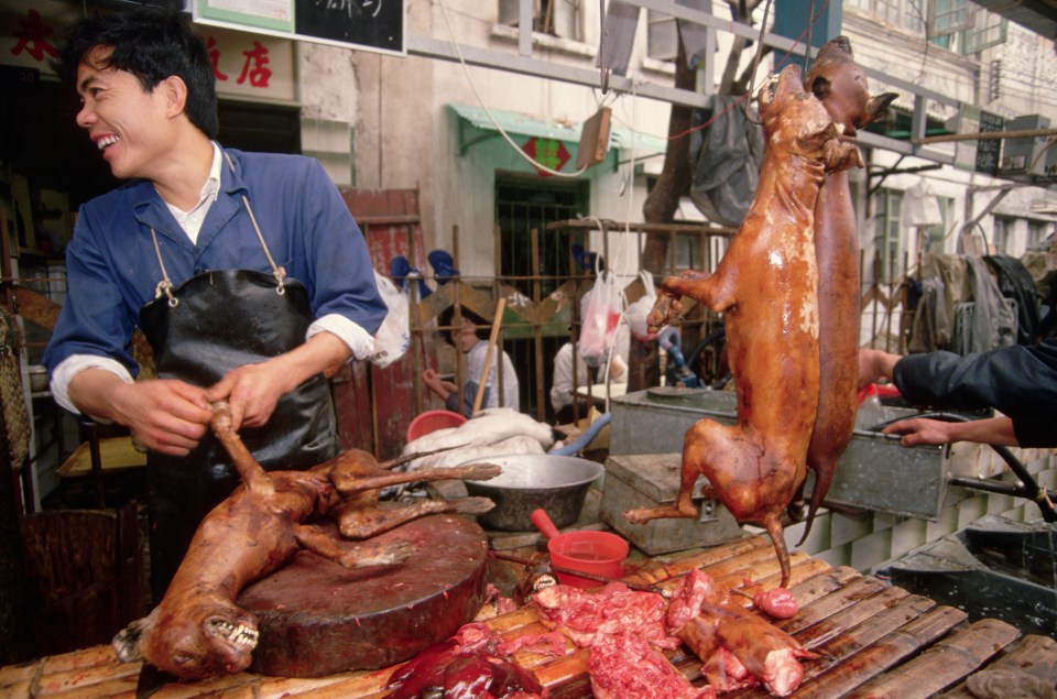  A Cantonese butcher selling glazed dog meat in the Qingping Market, Guanzhou, Guangdong Province