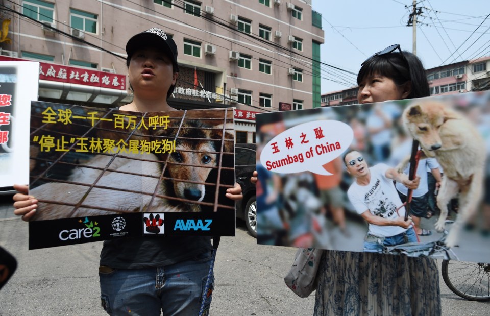  Animal lovers protest at the barbaric slaughter