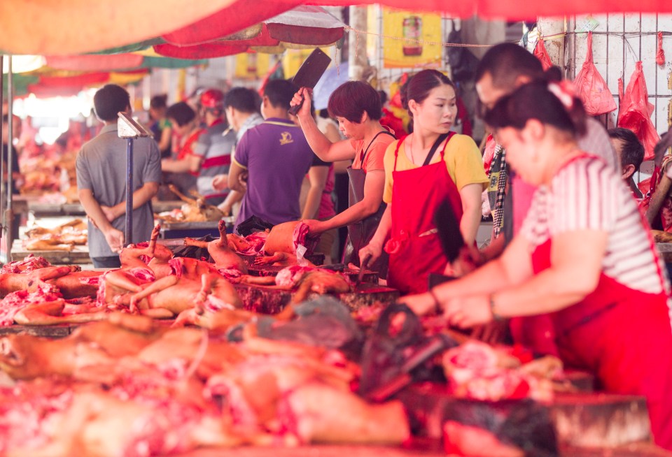  Dog meat sold at the annual Yulin event