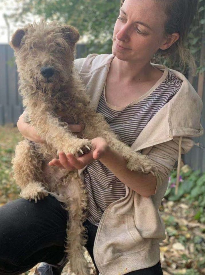  Emily with one of the dogs rescued from slaughter