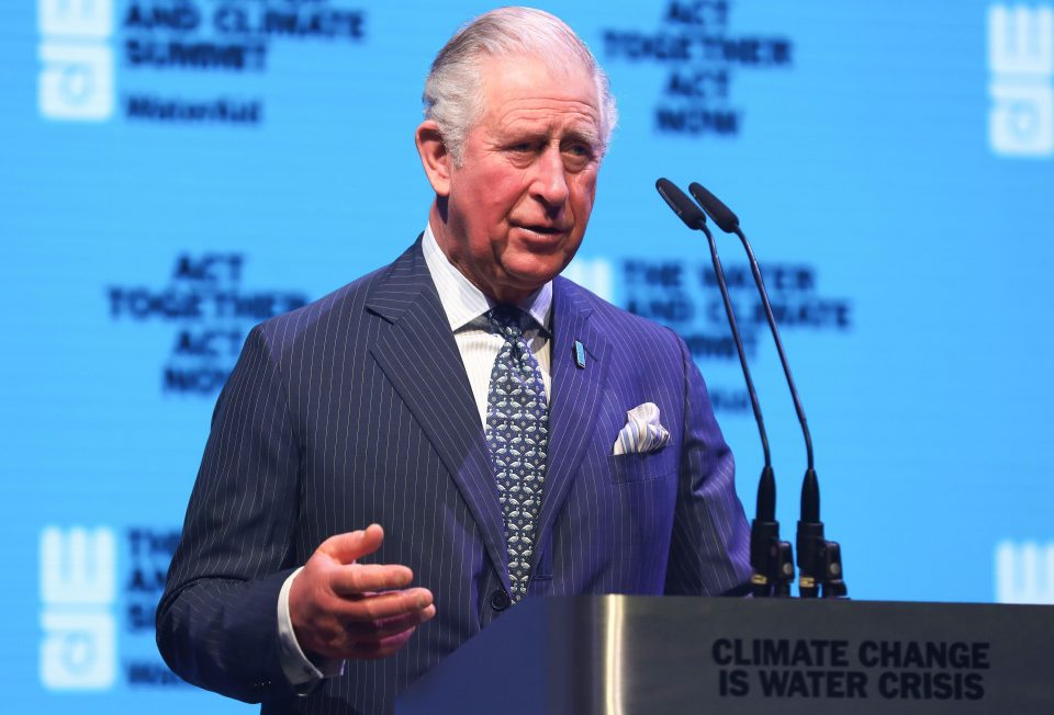  The Prince of Wales has tested positive for coronavirus