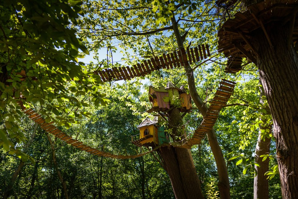  The Sky Walk is eight metres from the ground, while pictured here are the Twiggle Houses