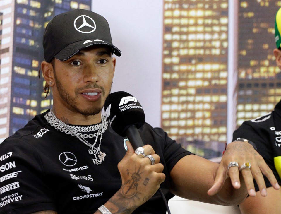  Formula 1 veteran Lewis Hamilton had called for the race to be postponed