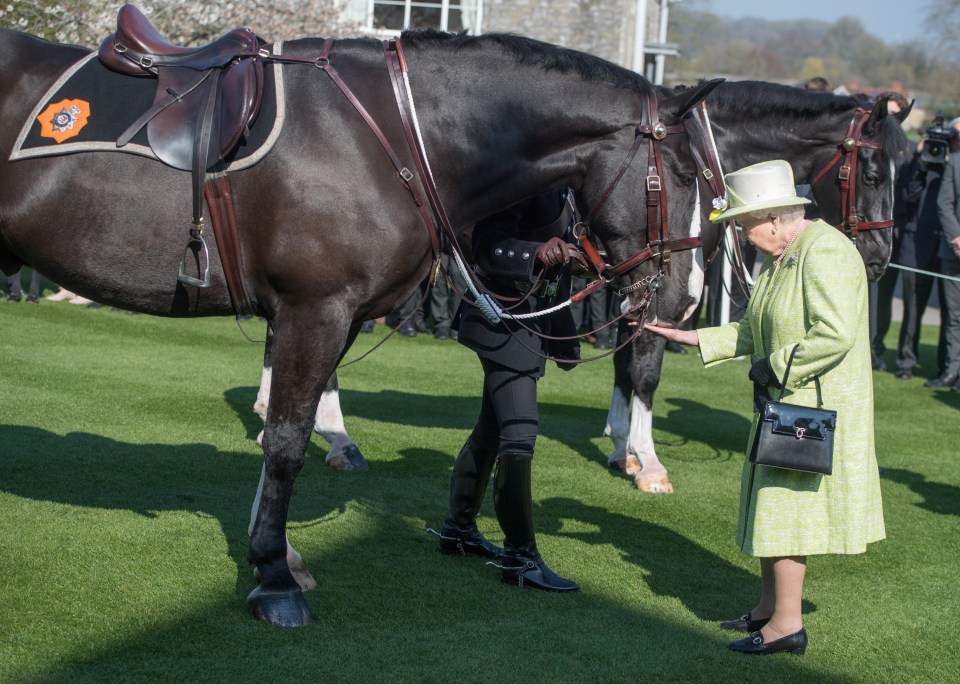 The Queen has won all classic races apart from the Epsom Derby