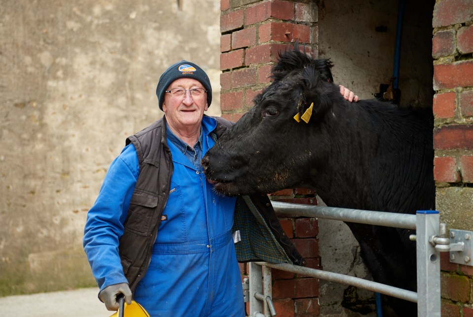 Farmer Martin Carefoot’s claims are categorically untrue, says Frank Warren