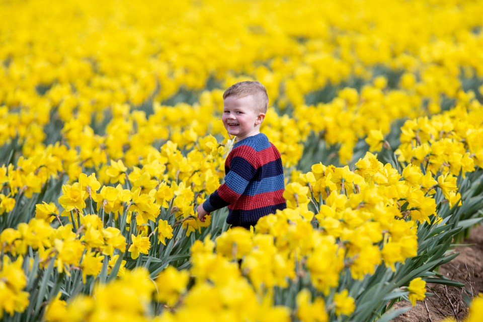  This weekend will see the country experience spring temperatures