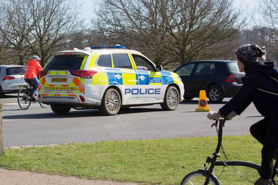  Cops were called to Richmond Park in London after hundreds of people descended on the green space