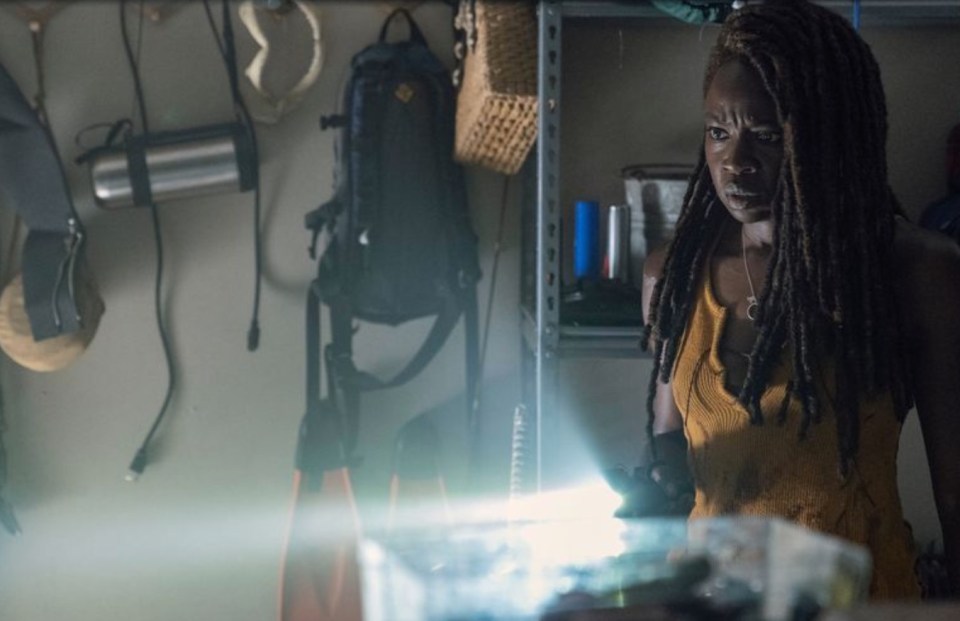  The Walking Dead’s Michonne and Rick have finally reunited with a dark twist during a trip to Virgil’s island