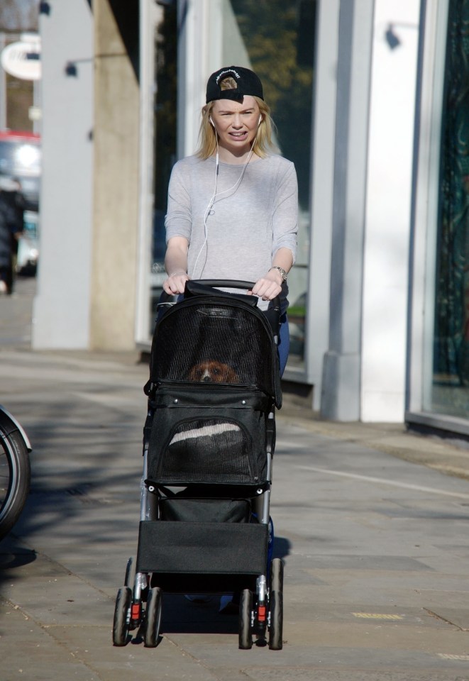  Georgia Toffolo takes her pooch out in leafy Chelsea in a stroller