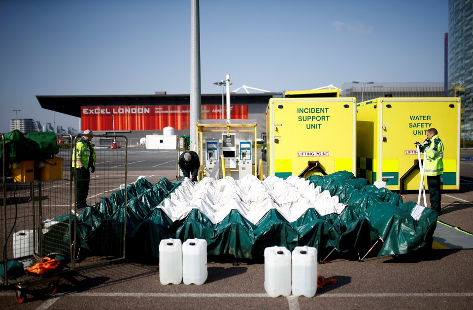  The ExCel centre has been re-purposed amid the coronavirus crisis