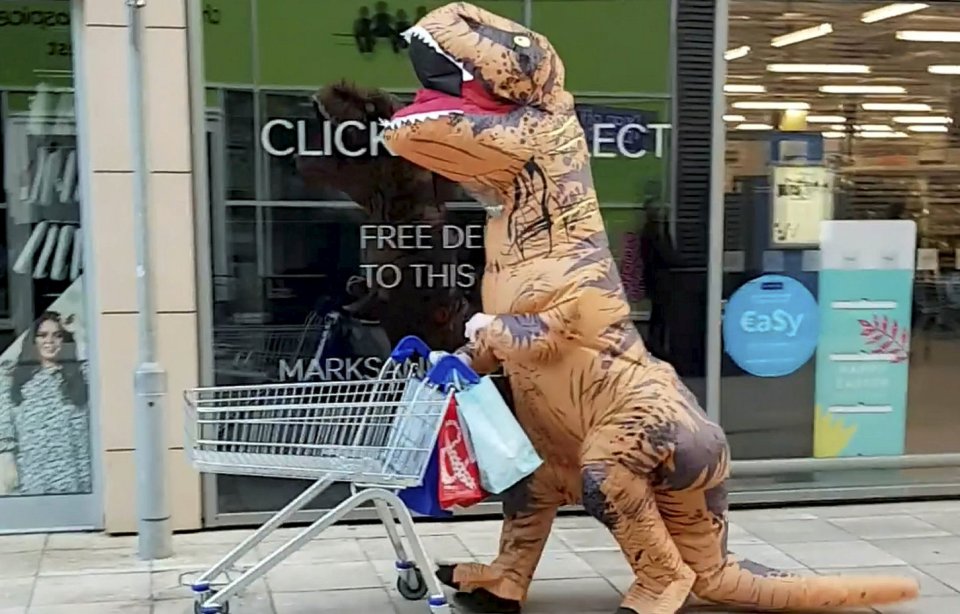  A T-Rex nips into Tesco for some groceries in Yate, South Gloucestershire.