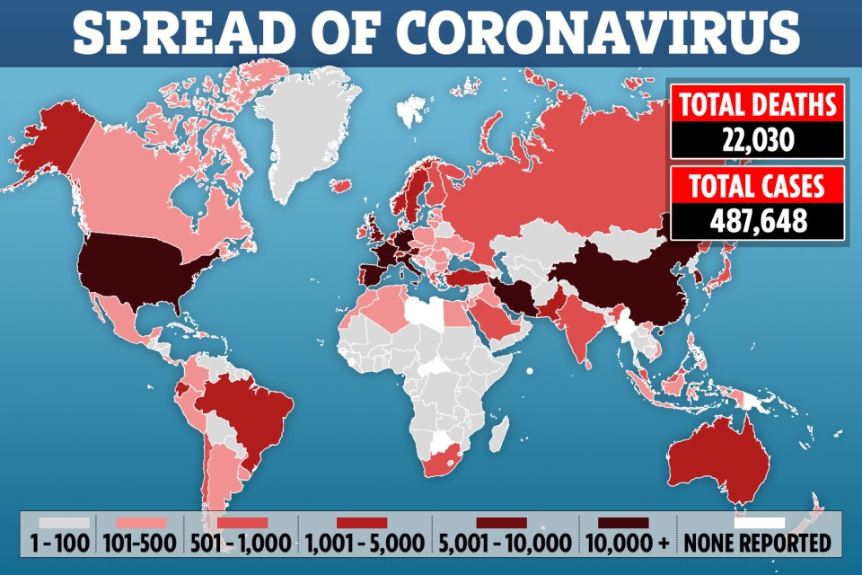  The deadly coronavirus has spread across the world killing thousands