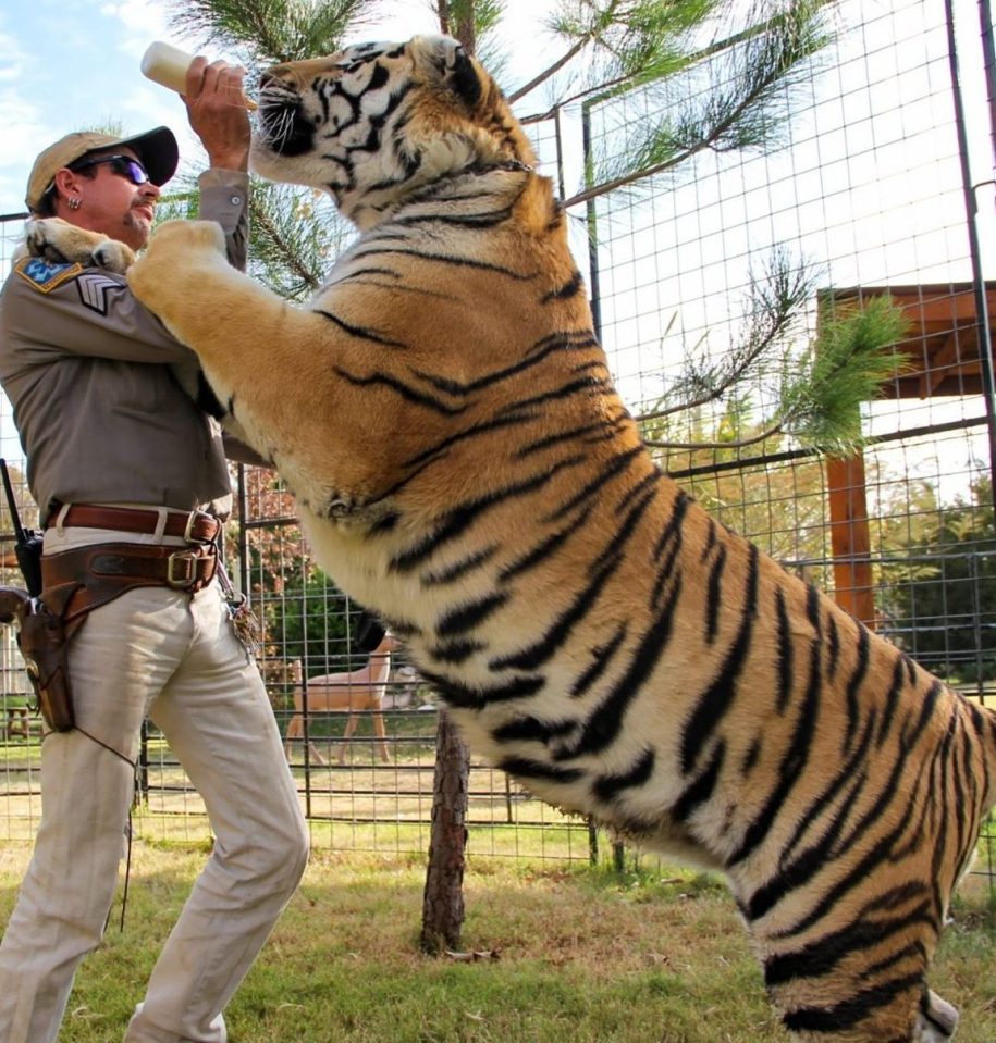  Tiger King follows Joe Exotic and his big cat breeding zoo