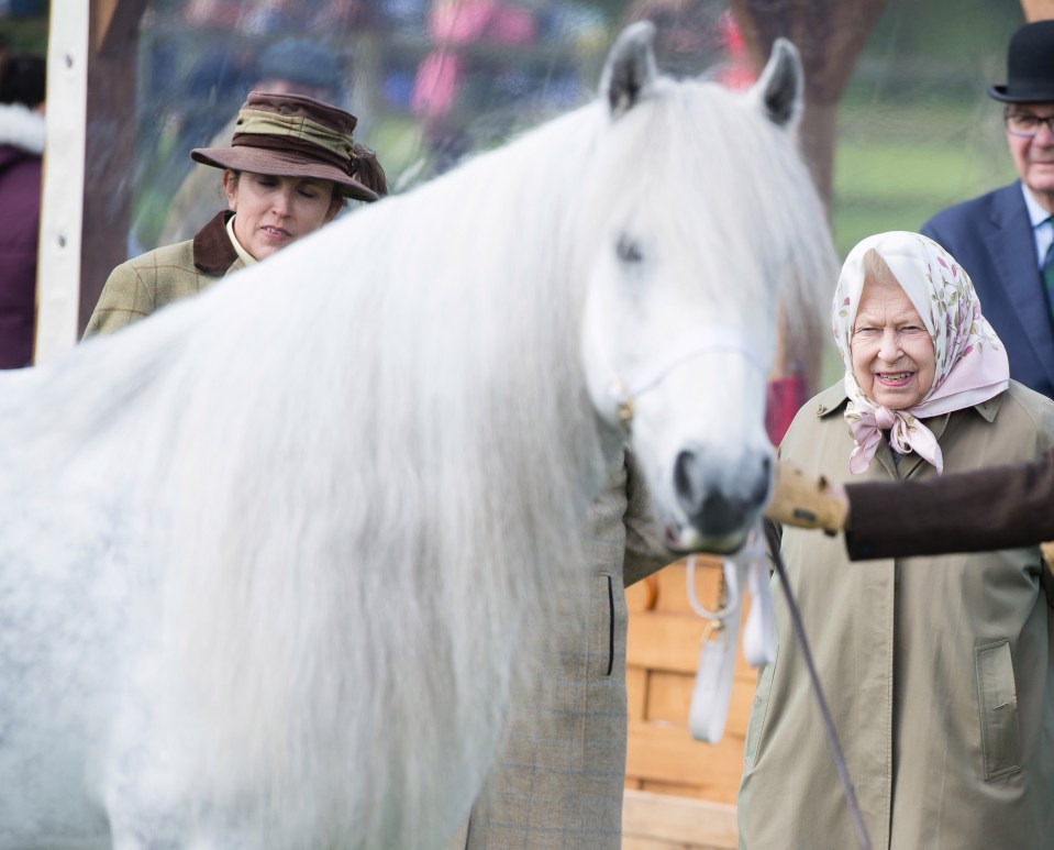 The Queen has even won races in France with her thoroughbreds