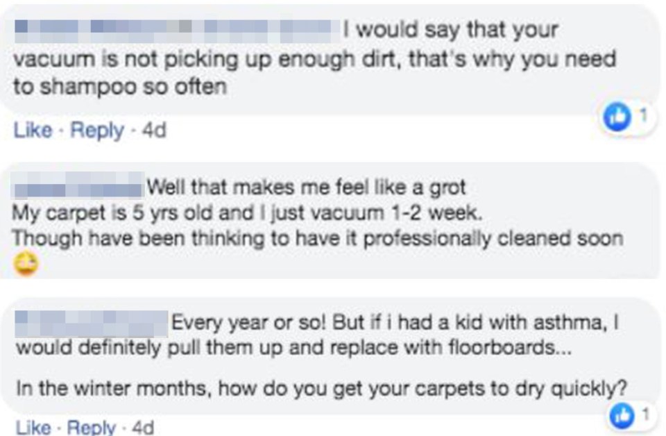 Fellow mums were horrified with the amount of dirt hiding in a supposedly clean carpet