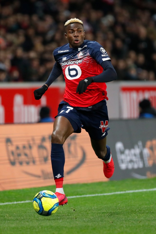  Lille's Victor Osimhen has also been touted as a Red Devils target