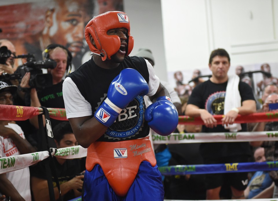  Floyd Mayweather is said to have once dropped a heavyweight in sparring