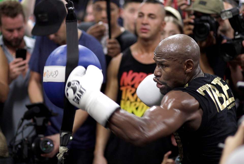 Zab Judah says Mayweather trains up to five hours straight