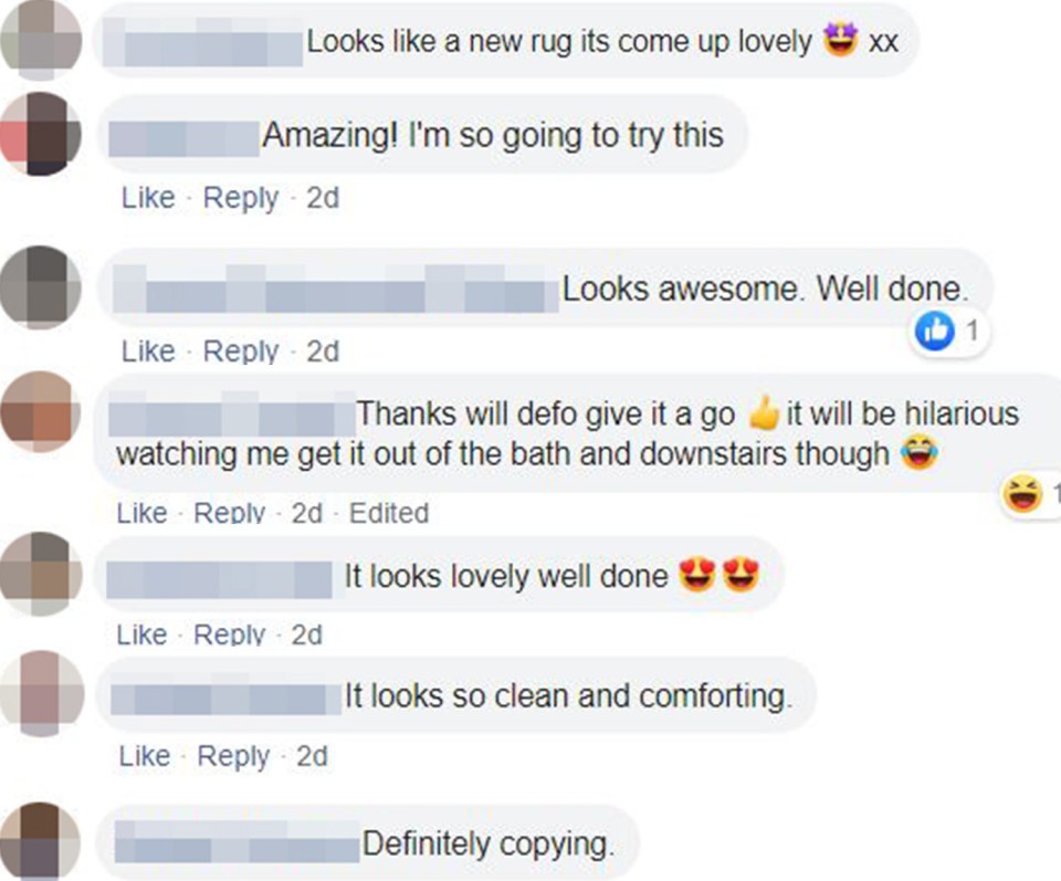 Hundreds of people thanked her for sharing her tip, and said they'd give their own rugs a soak