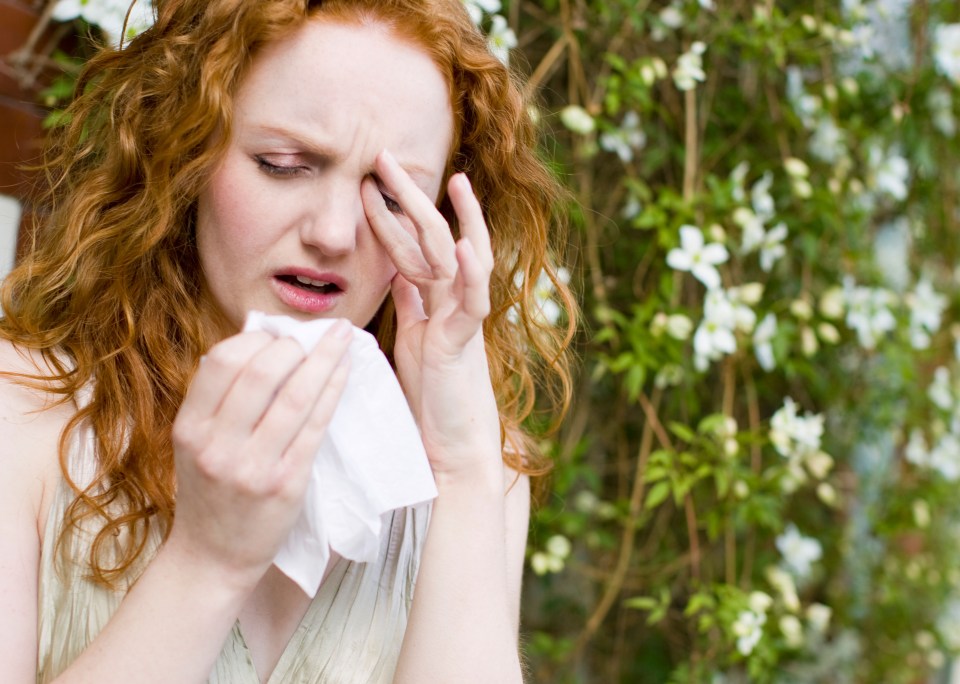  Most hay fever sufferers get itchy eyes and a runny nose