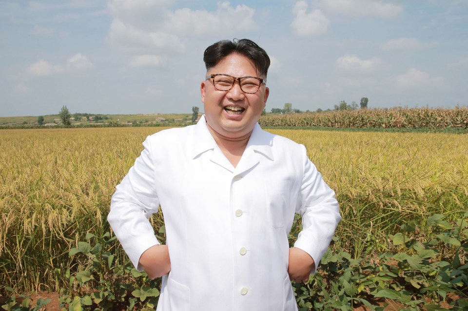  North Korean leader Kim Jong-un is either dead or in a 'vegetative state'