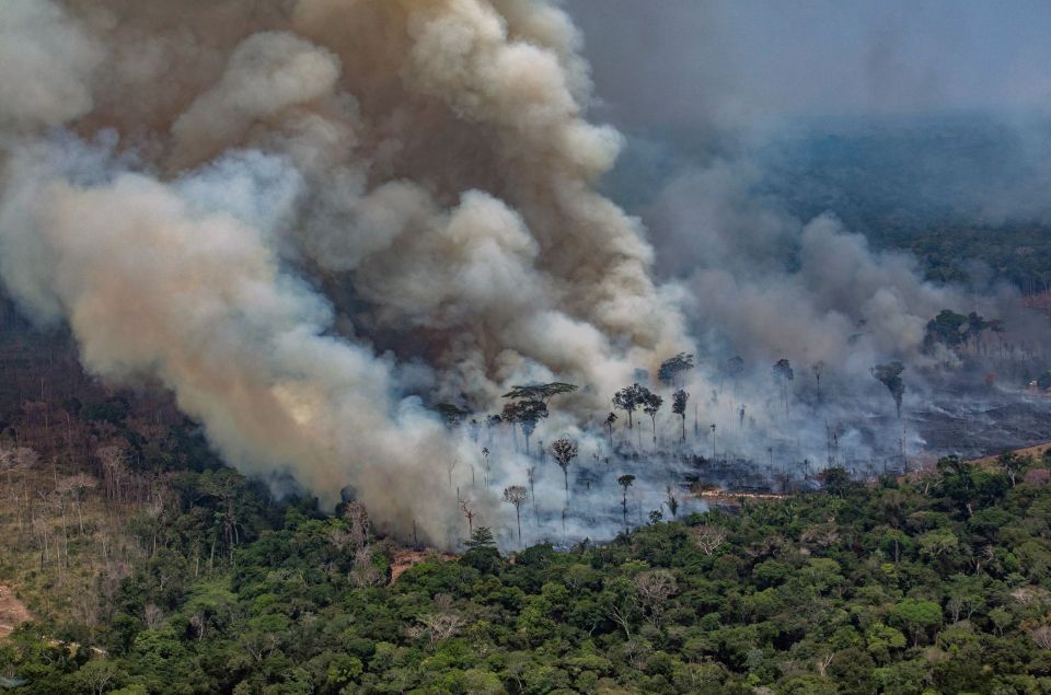  Smoke billowing from forest fires in the Amazon on August 24, 2019