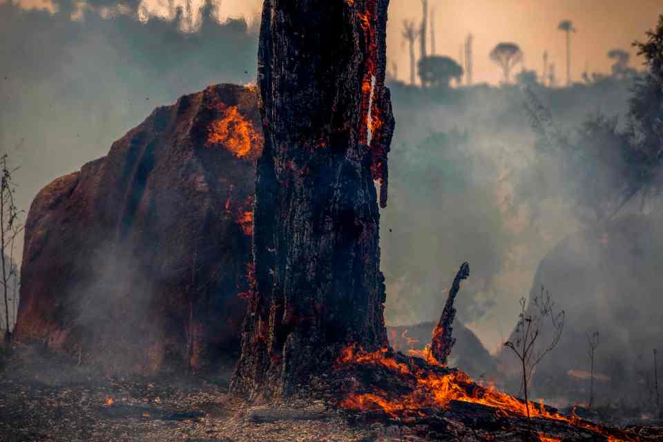  A burnt area of forest in Altamira, Para state, Brazil, on August 27, 2019