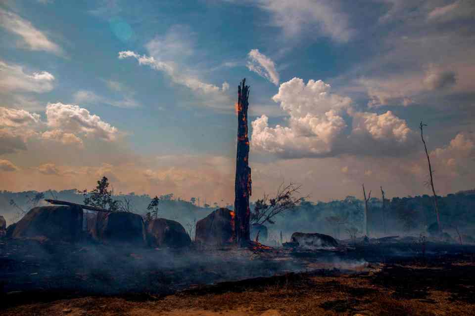  Experts have warned the rate of deforestation has doubled in 2020. Trees burn on August 27, 2019.