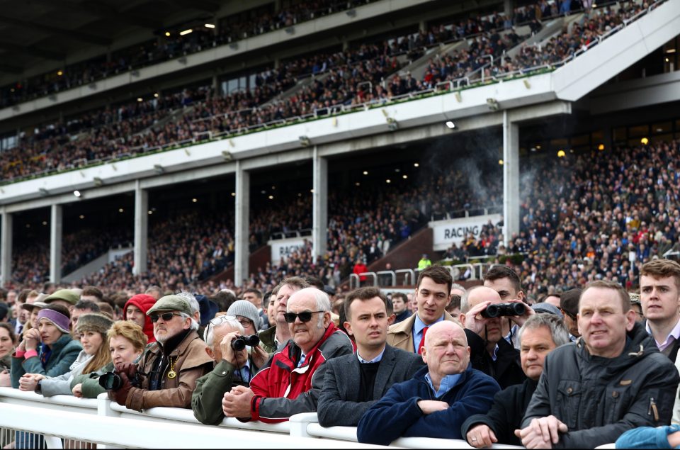  The government took no action to prevent the famous Cheltenham event taking place in March