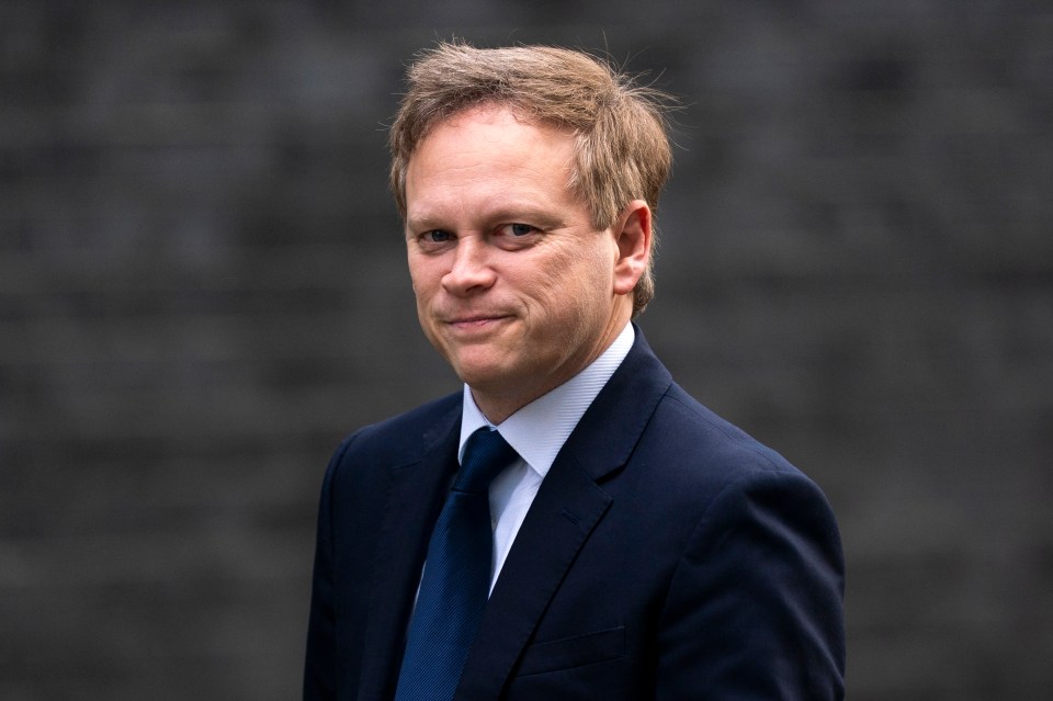  Transport Secretary Grant Shapps has said a plan to exit the Covid-19 shutdown will take another two weeks