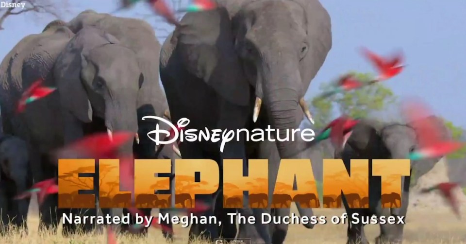 The elephant documentary Meghan narrated will be available to stream on Disney+