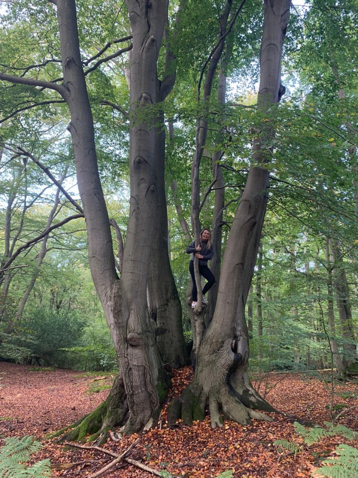 Epping Forest is 2,400-hectares of ancient woodland in which you can wander and climb trees – and it’s on the tube