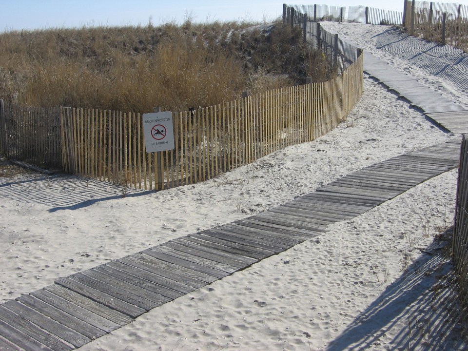 We're checking the sand for paw prints with no luck