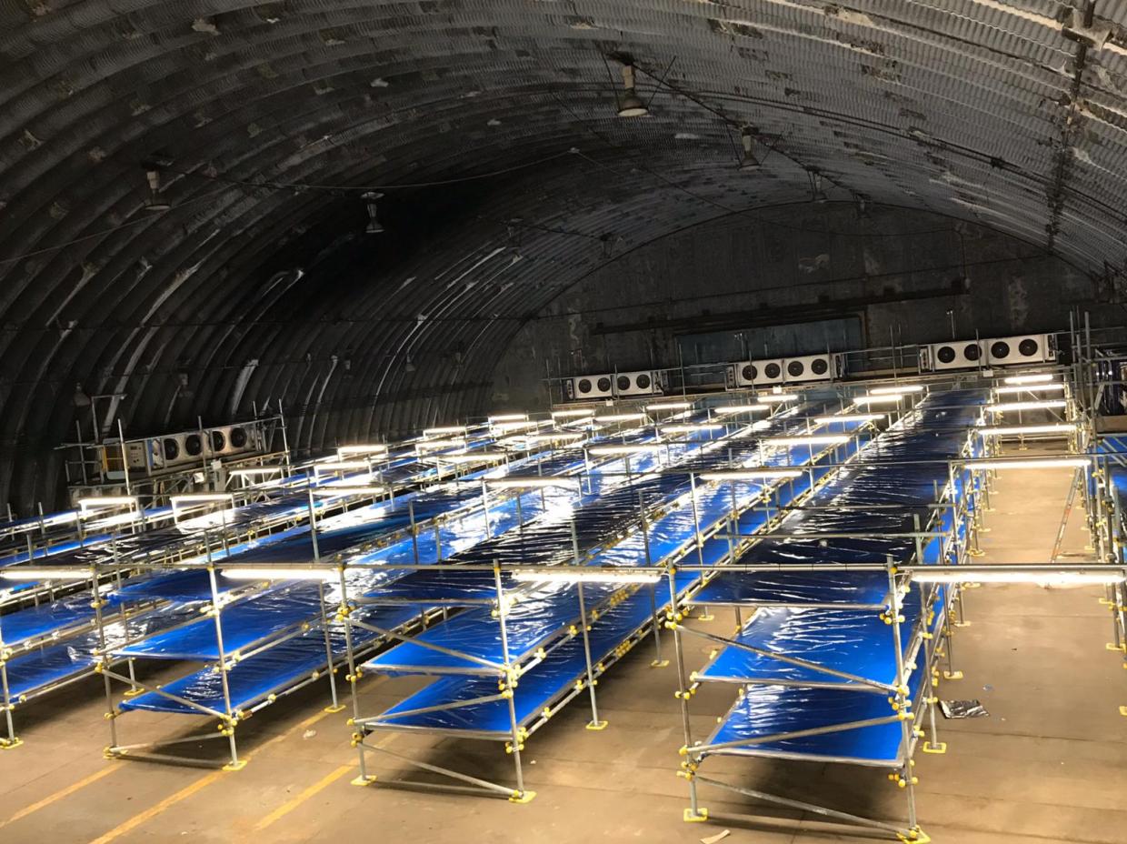 A hangar at RAF Upper Heyford in Oxfordshire converted into a coronavirus mortuary in April 2020