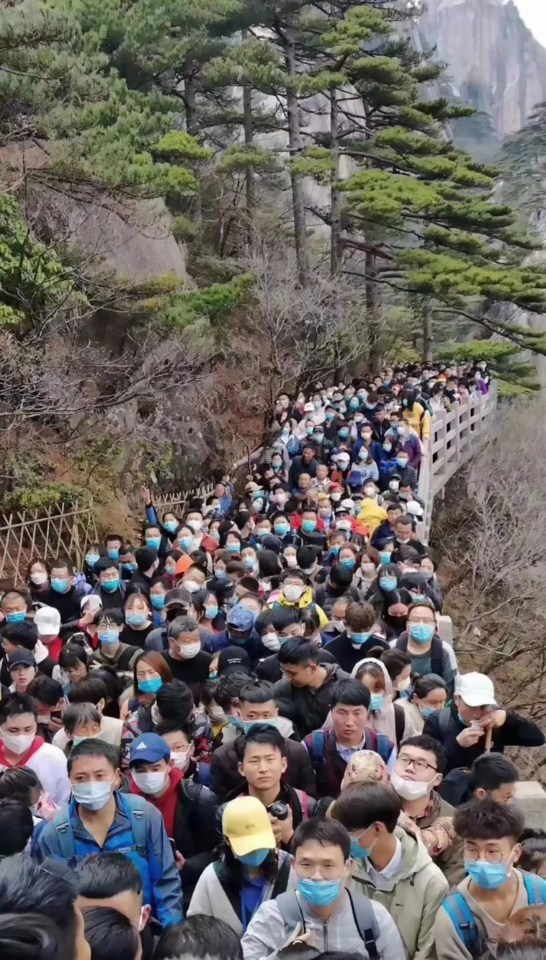  Video footage shows visitors clogging up the park's pathways with huge queues