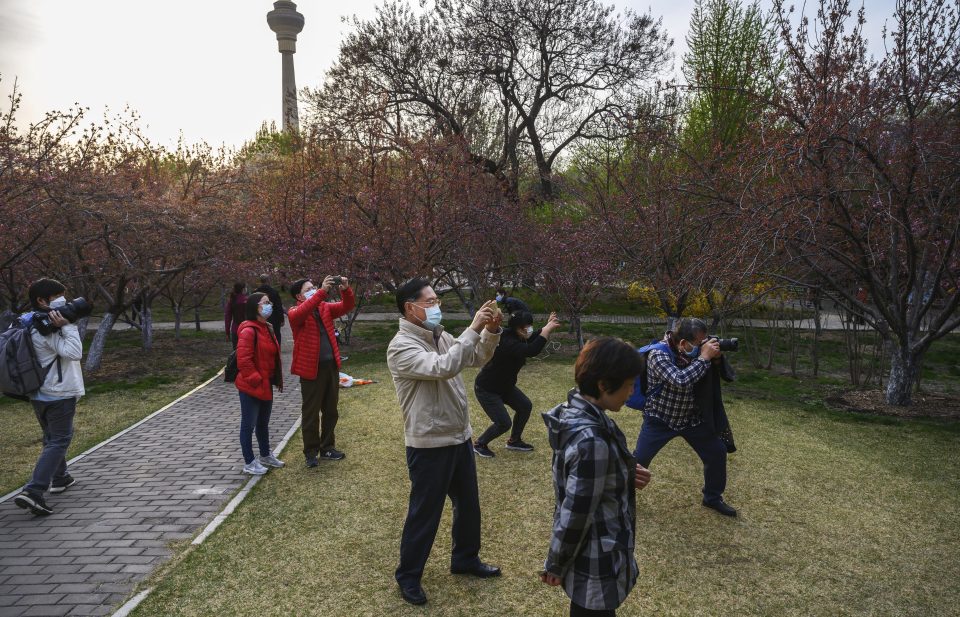  People wear protective masks as they take photos of blossoms while enjoying the spring weather on Saturday at a park in Beijing