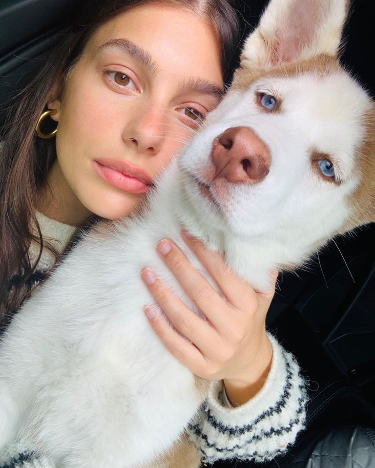  Camila adopted her husky in Mid-March, and has been regularly posting updates of him since then