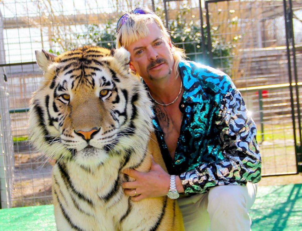  Andy says he think it is a shame Joe Exotic was sentenced to 22 years in jail