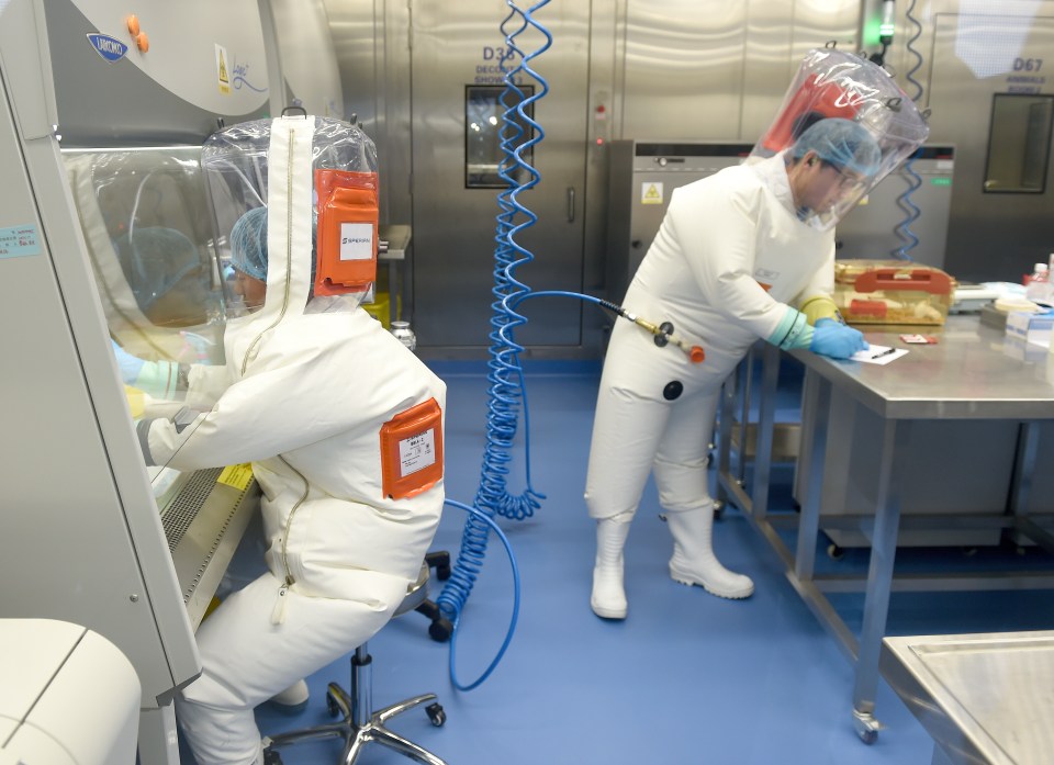 Workers at the Wuhan Institute of Virology (WIV)