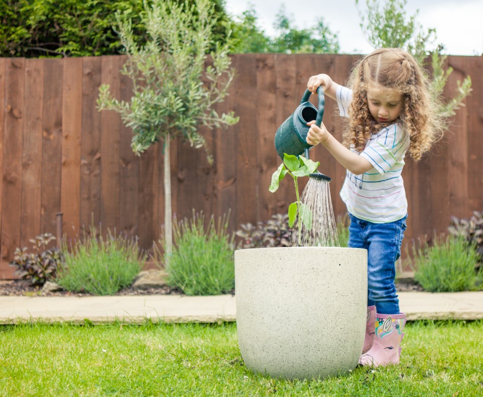  Choosing light-coloured plant pots means you'll have to do less watering