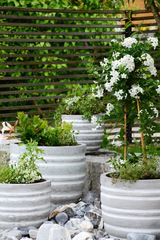  Opt for pale grey, white and sandy beige shades for your plant pots