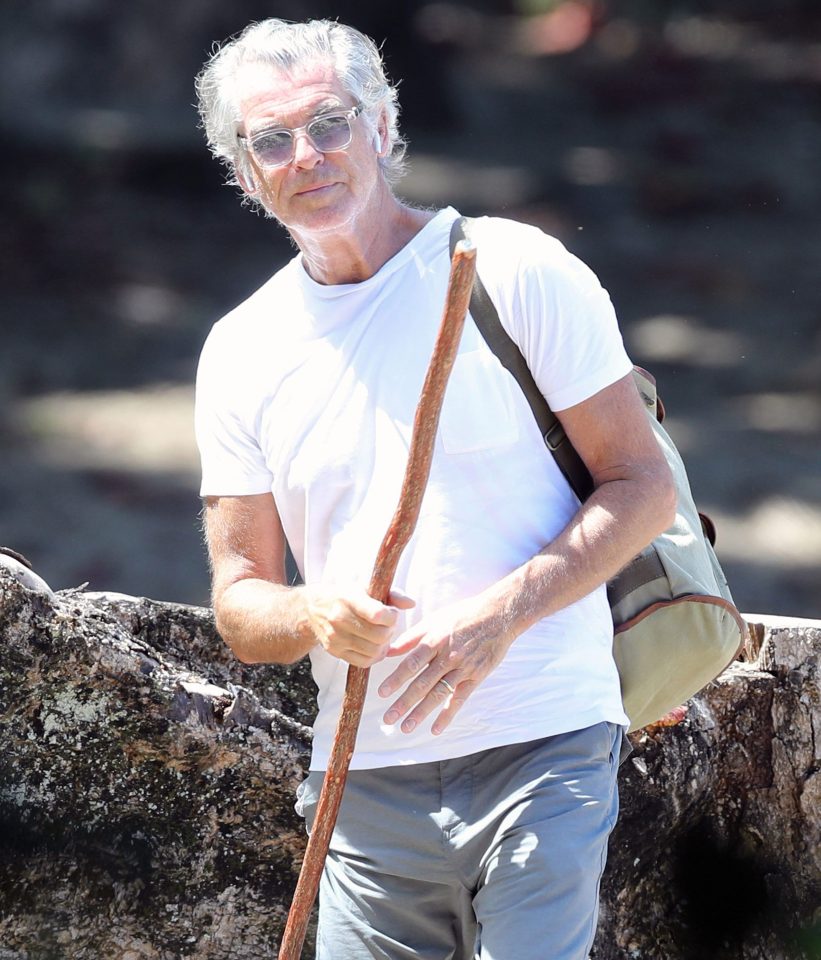  Silver-haired Pierce Brosnan, 66, takes a stroll in Hawaii where he is self-isolating with his wife