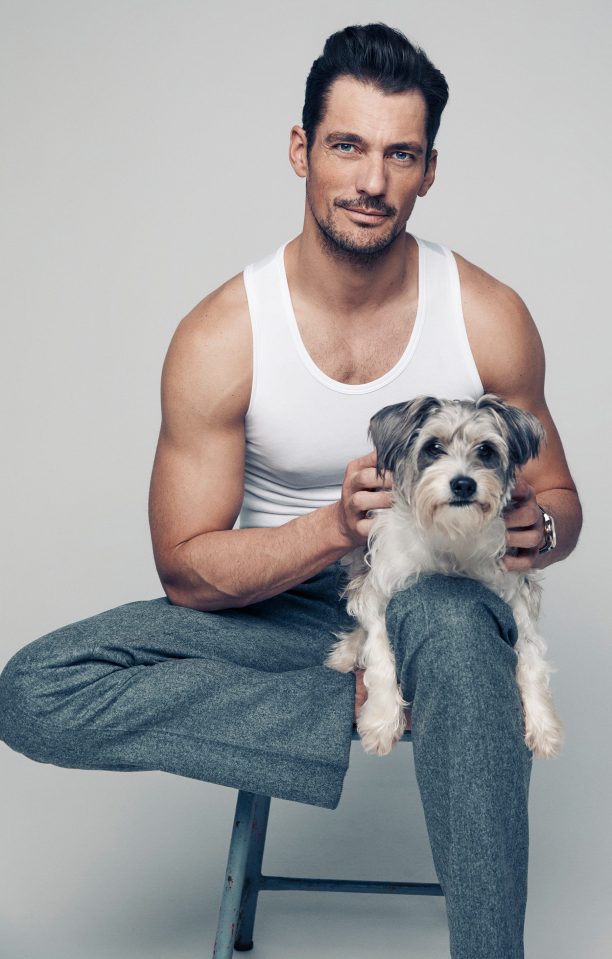  Model and businessman David Gandy and Dora, his rescue pup from Battersea Dogs Home