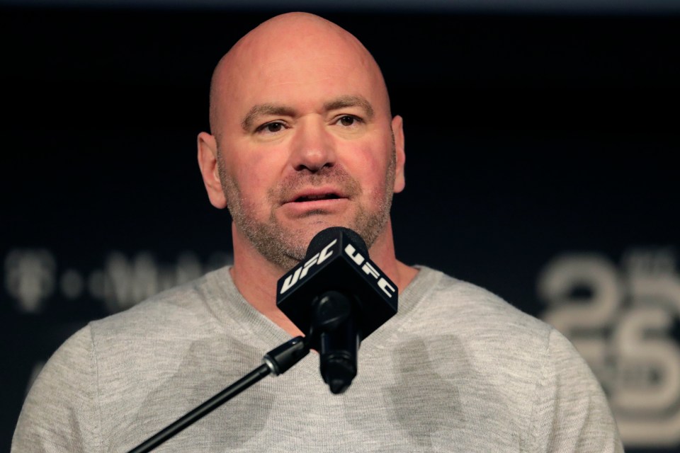  Dana White is offering one MMA fan the ultimate UFC experience which includes picking a bout and dinner then fight night with Halle Berry