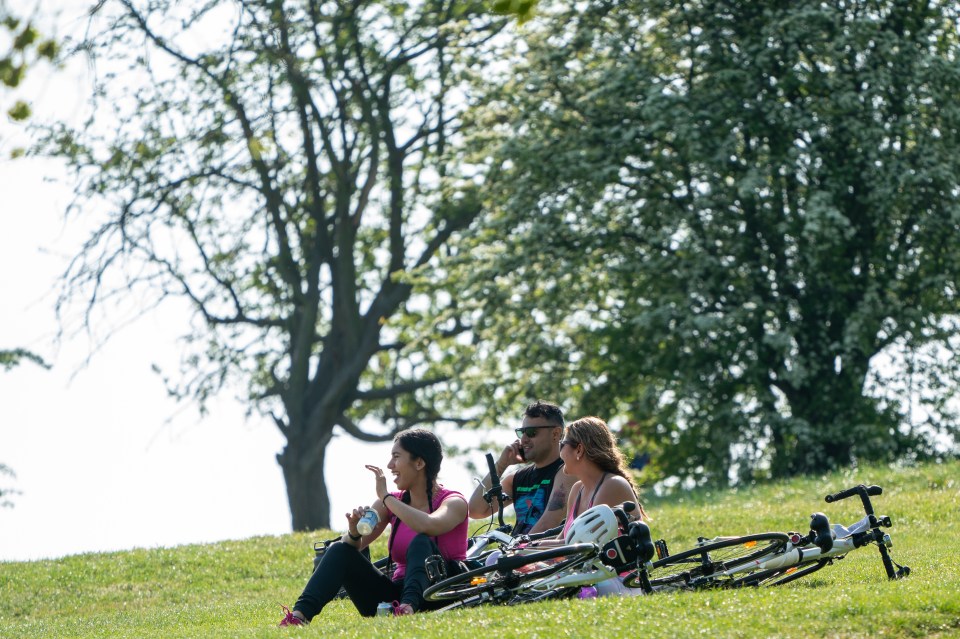  Brits enjoy the sun in North London