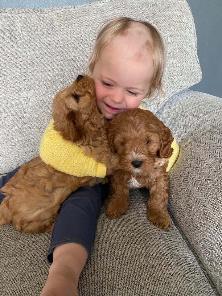  Sian says the tot is obsessed with dogs