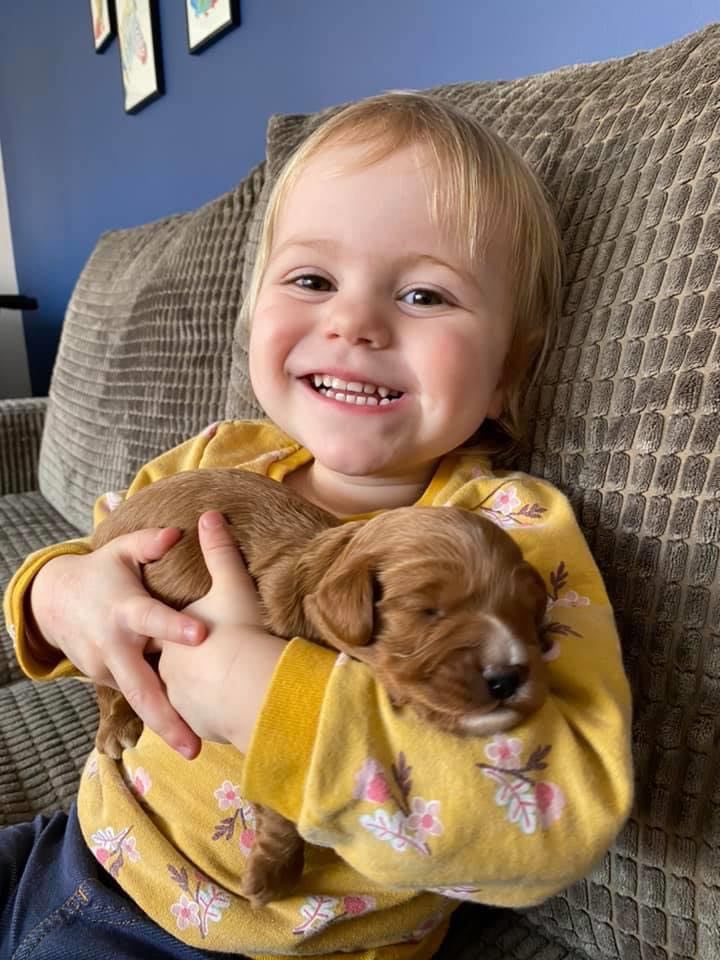  The cheeky little girl laughed when she saw her reflection in the mirror