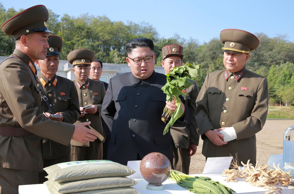  Kim Jong-un's family have a history of heart problems. Pictured eyeing up a vegetable on September 30, 2017.