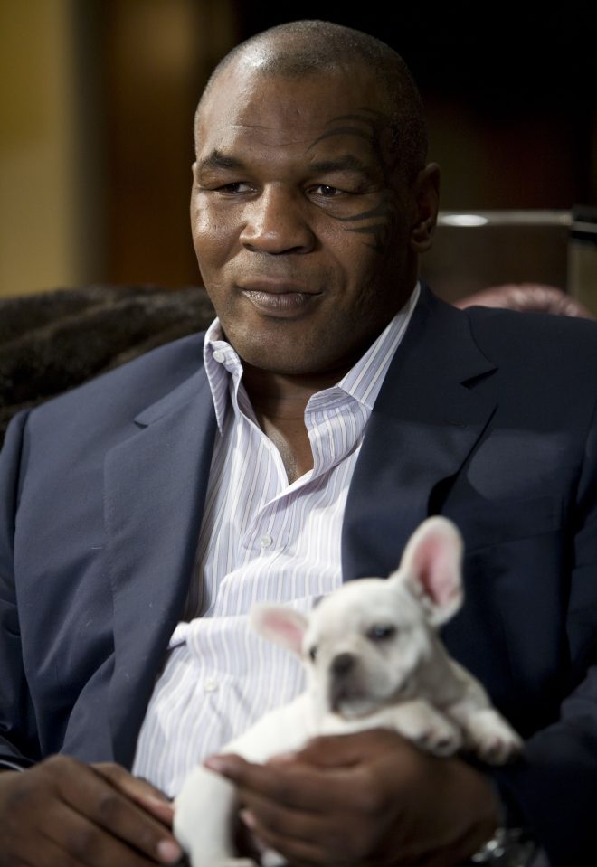  Mike Tyson in 2009 hit movie The Hangover