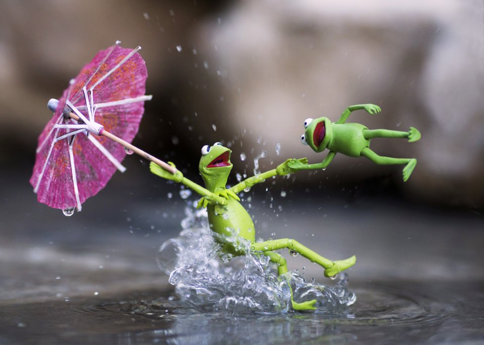 The photos can take anywhere from a couple of hours, to most of a day, to set up, shoot and edit — pictured Kermit the Frog walking on water